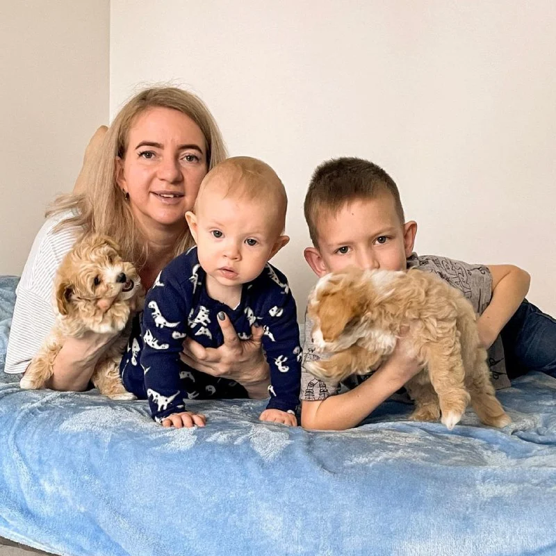 Happy Tails Maltipoos family raising Maltipoo puppies at home