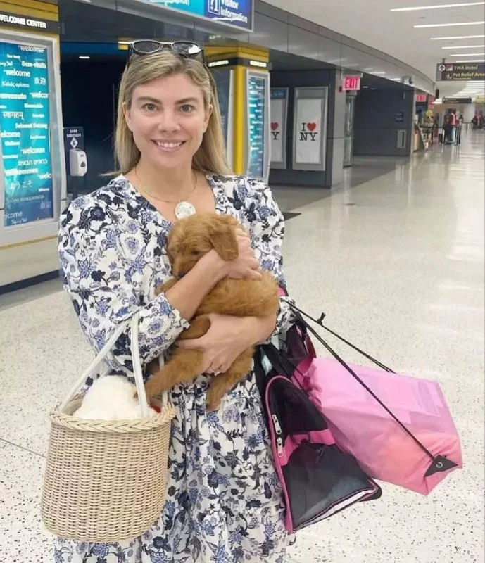 Happy family welcoming a safely delivered Maltipoo puppy